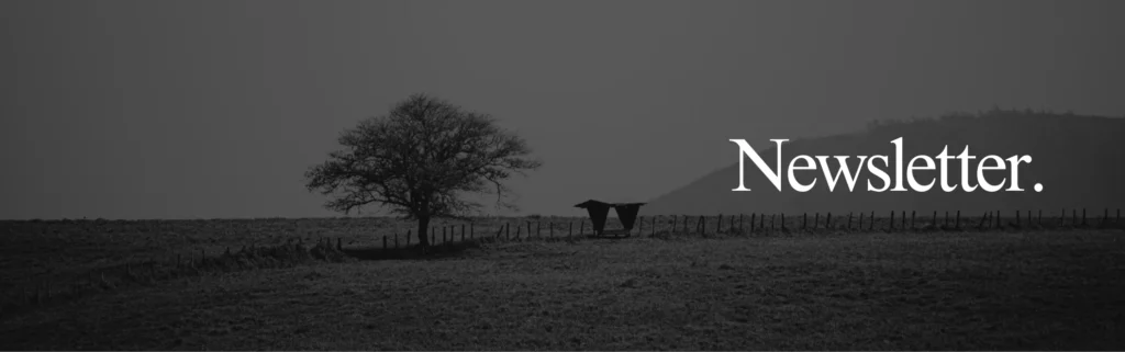 meditacao online em grupo aulas sessao se pegue de volta